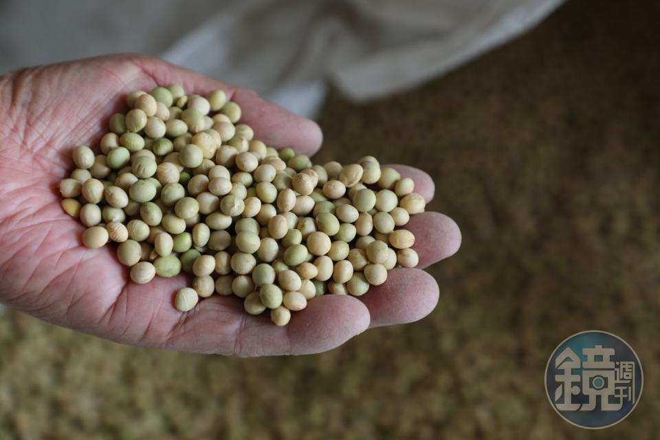 豆油伯不但使用無農藥殘留的原料，還以不同品種的台灣豆進行釀造。