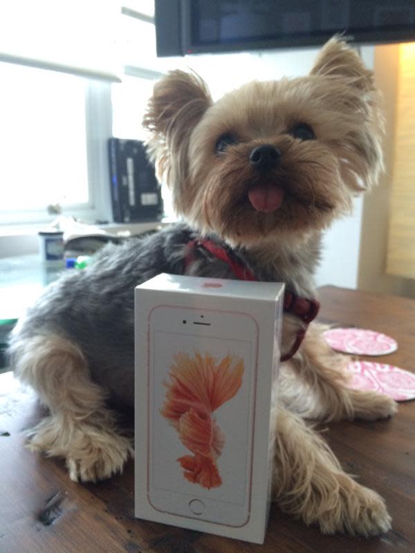 rose-gold-iphone-6s-early-delivery-2