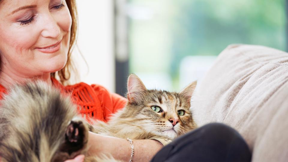 Woman holding cat