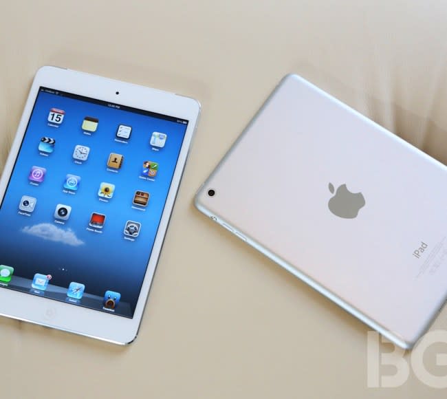 Apple iPad Mini Shipments