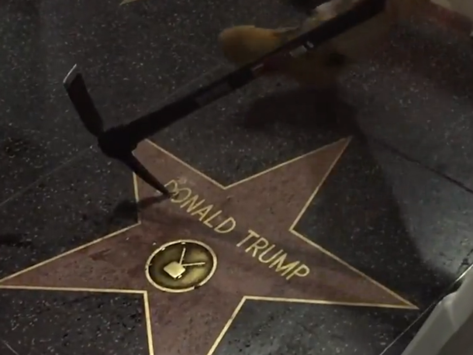 donald trump star walk of fame