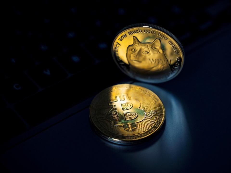 Dogecoin lost more than a third of its value between 15-22 June, 2021 (Getty Images)