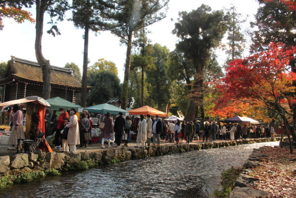 市集在京都世界文化遺產「上賀茂神社」境內舉行。
