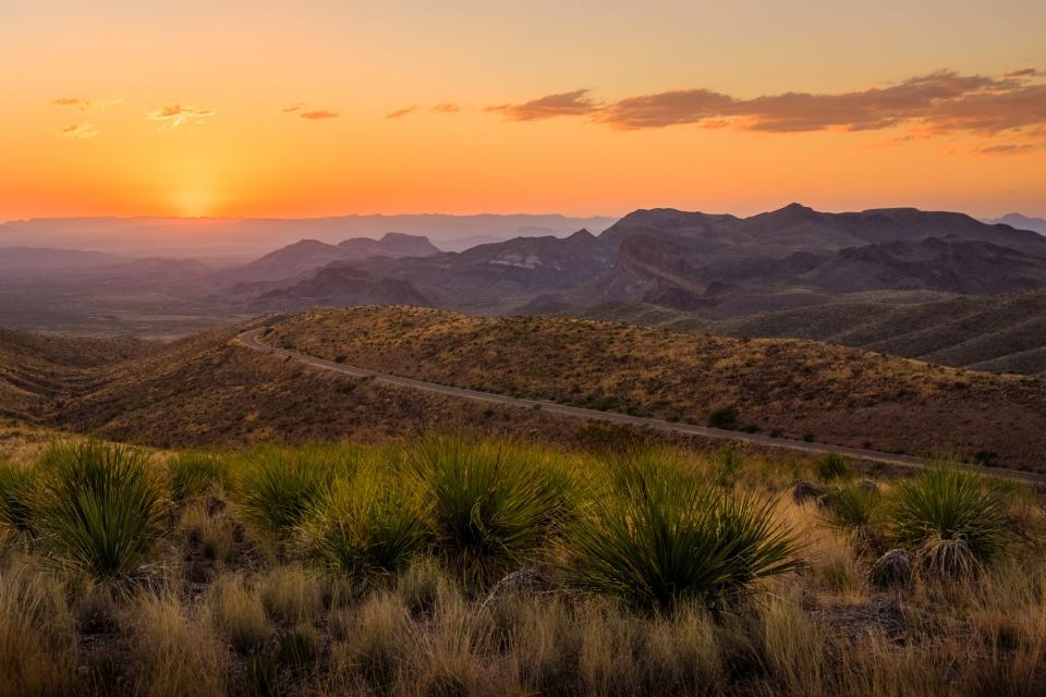 Welcome to Big Bend National Park