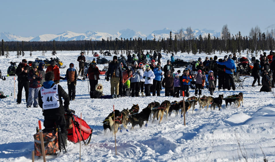 FILE - Fans watch musher Jessie Holmes leave the starting area at the Iditarod Sled Dog Race at Deshka Landing in Willow, Alaska, Sunday, March 7, 2021. The television star and Iditarod musher sustained injuries this week when helping clean up storm damage along the Bering Sea coast. Jessie Holmes, who since 2015 has starred in "Life Below Zero," about life in rural Alaska produced by National Geographic TV, was injured by falling debris in a building in the community of Golovin on Wednesday, Sept. 28, 2022, the Anchorage Daily News reported. He was flown for treatment to Nome and then sent on to an Anchorage hospital. (Marc Lester/Anchorage Daily News via AP, Pool, File)