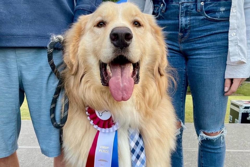 The 23rd Annual All American Dog Show takes place Sunday, Oct. 1.