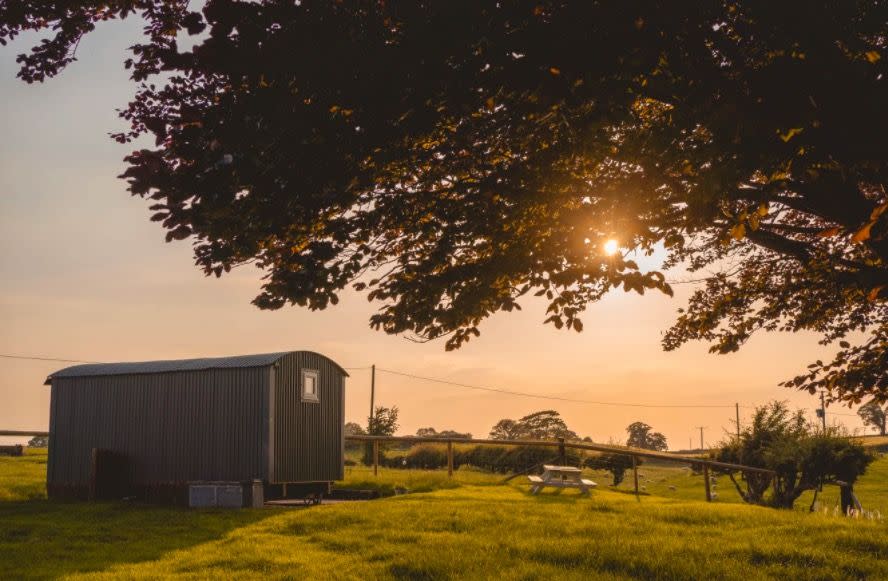 8) Copper Beech Glamping, Staffordshire