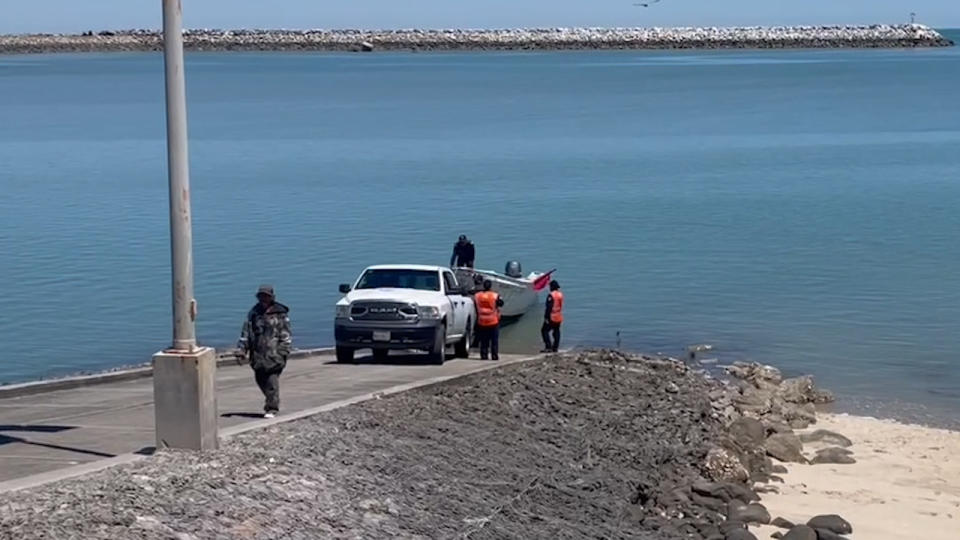  Inspección de pangas en el muelle de San Felipe vaquita marina 1