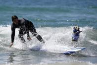 A man and his dog surf during the Surf City Surf Dog Contest in Huntington Beach, California, United States, September 27, 2015. REUTERS/Lucy Nicholson