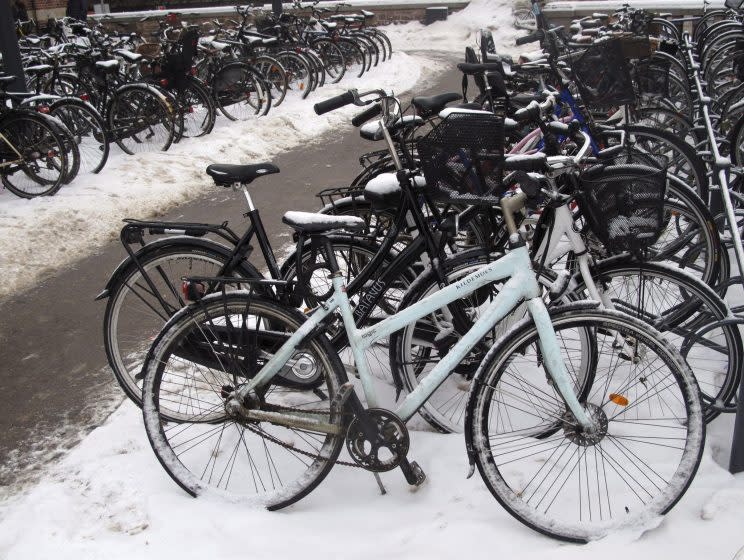 A bike for all seasons - Danes continue riding even during the harsh winters (Rex)