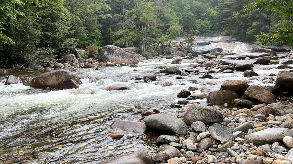 PHOTO: This photo provided by the New Hampshire Fish and Game Department shows Franconia Brook as is flows several hundred yards below Franconia Falls, in the White Mountain National Forest, Aug. 15, 2023, in Lincoln, N.H. (Jon Demler/New Hampshire Fish and Game Department via AP)