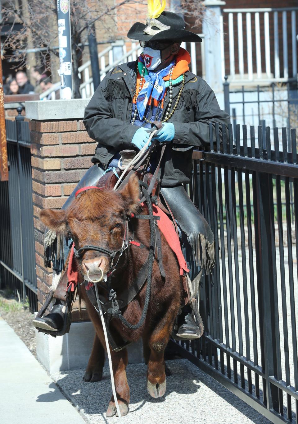 Will Liggins from Pingree Farms in Detroit on his cow Hope wait to march in the parade.