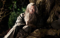 Gandalf the Grey returns to his much-loved role as the wise old wizard.