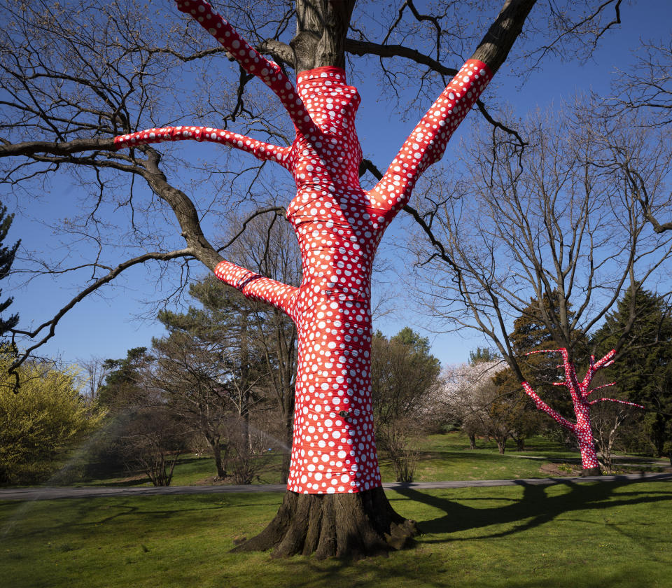 The sculpture "Ascension of Polka Dots on the Trees" by Japanese artist Yayoi Kusama is on display at the New York Botanical Garden, Thursday, April 8, 2021 in the Bronx borough of New York. The expansive exhibit has opened, and ticket sales have been brisk in a pandemic-weary city hungry for more outdoor cultural events. (AP Photo/Mark Lennihan)