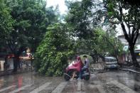 A motorist tries to get round a fallen tree blocking a road in Shantou, Guangdong province, on September 22, 2013