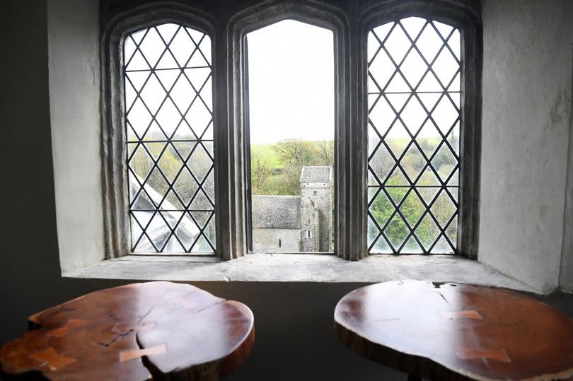 A room and window with a view out onto green space