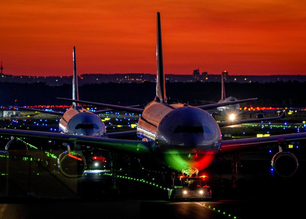 Power outage at Frankfurt Airport overnight due to dormice – but impact on flights limited