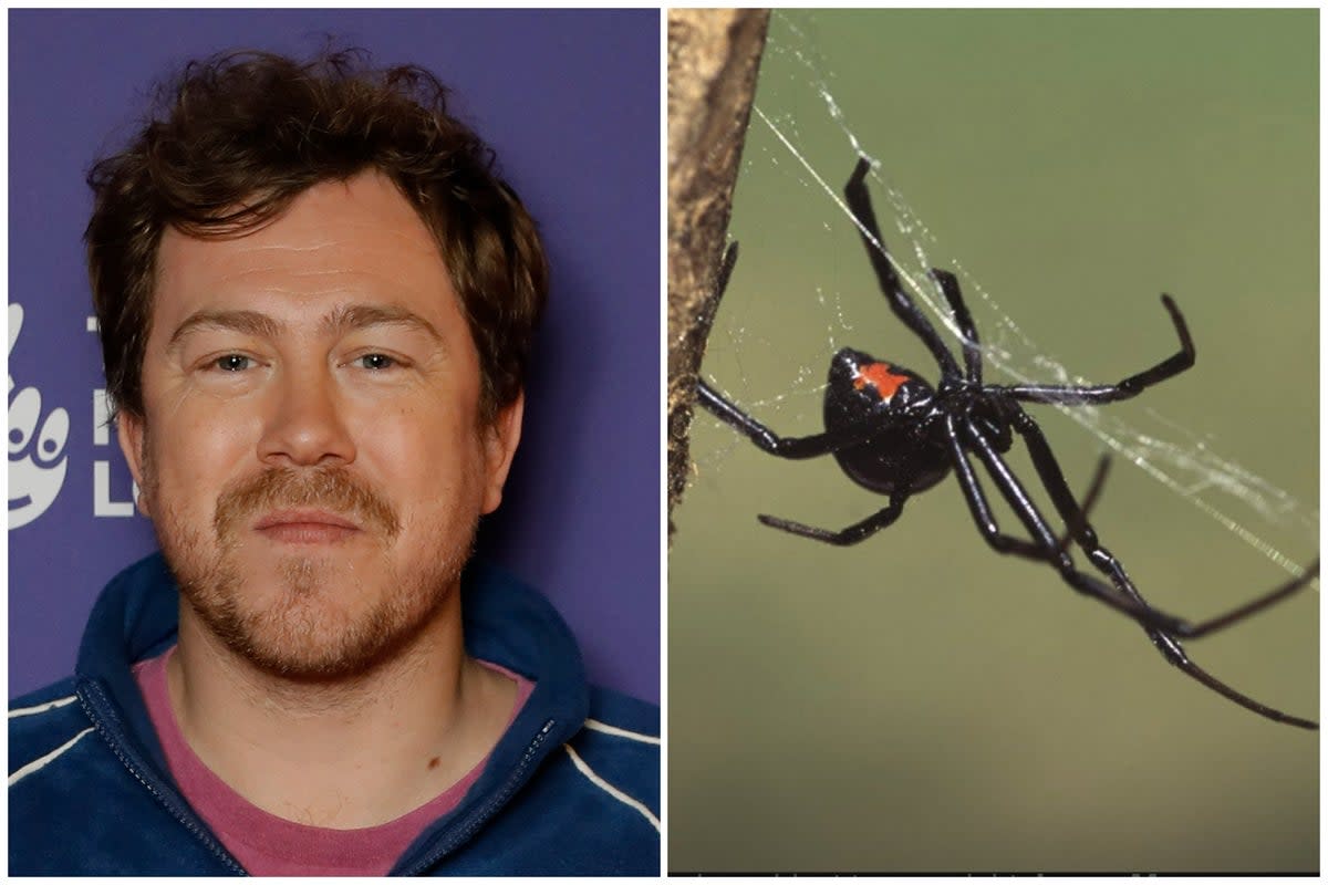 James Bourne has revealed what happened after he was bitten by a black widow spider (ES Composite)
