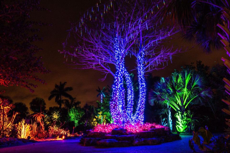 Naples Botanical Garden offers exhibits year-round, including its popular Johnsonville Night Lights in the Garden every holiday season.