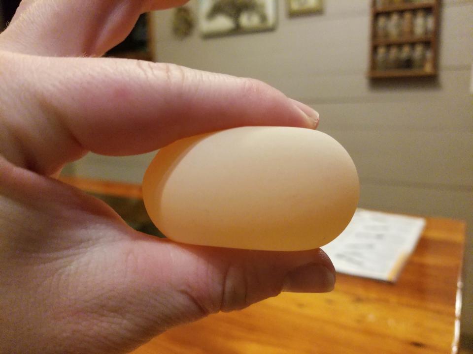 A chicken egg with no shell