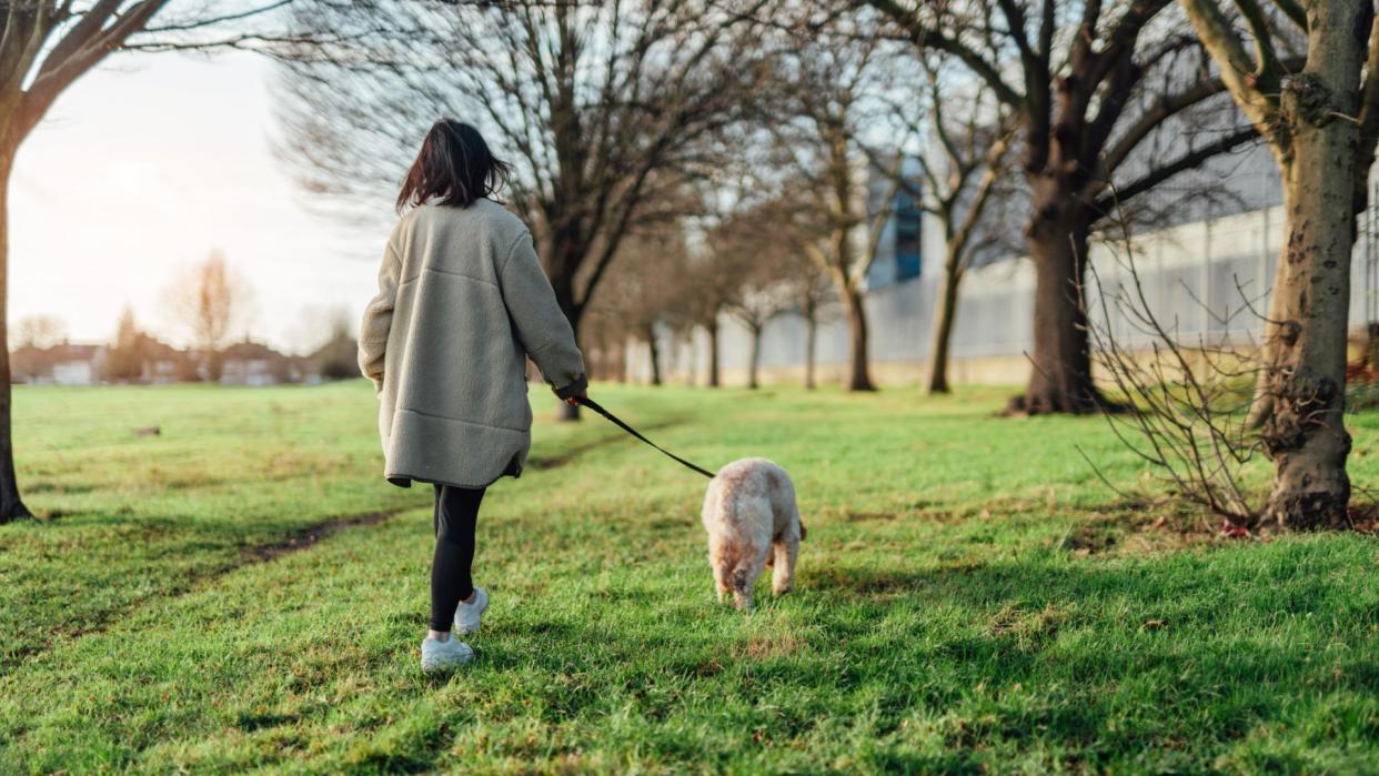  Woman walking dog. 