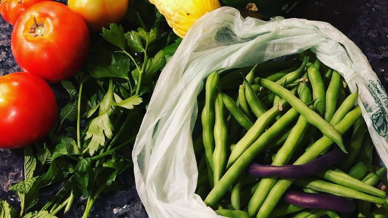 Kentucky Blue beans in a bag