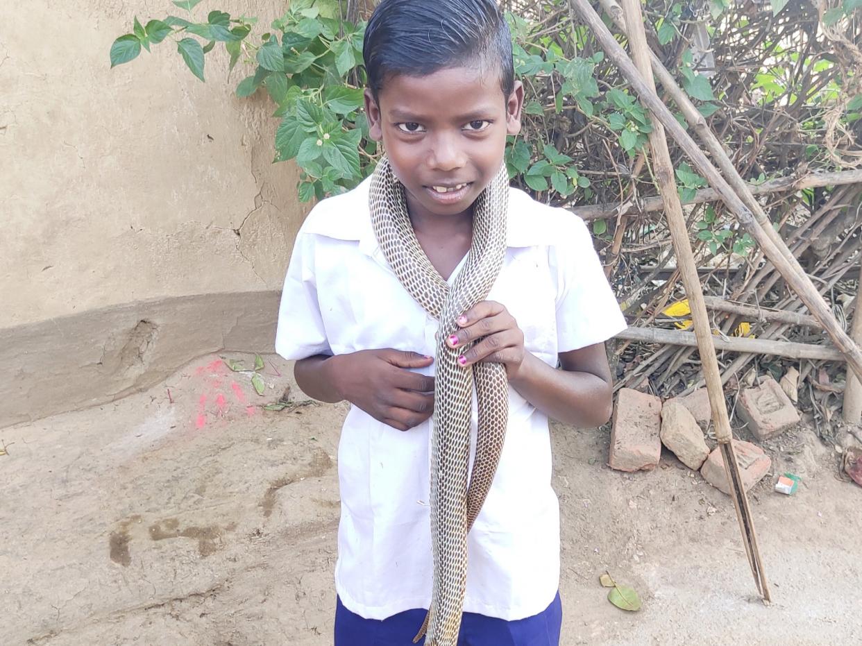 bediya child holding a cobra snake