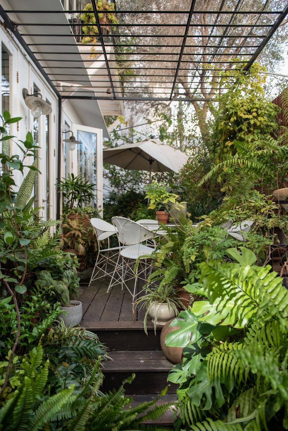 The couple’s backyard is filled with ferns and shade plants; an homage to Broudoi’s father’s green thumb.