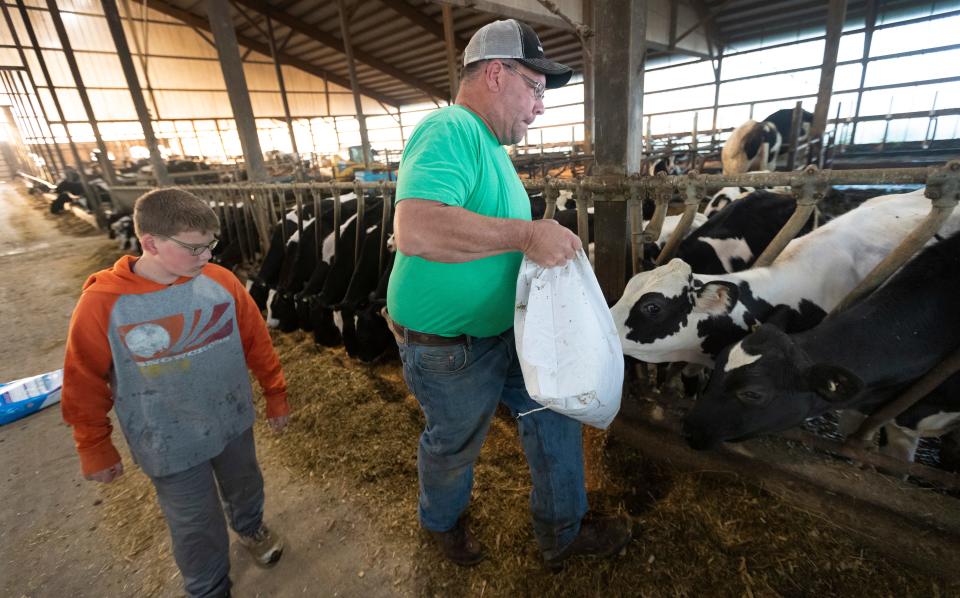 Jackson Roehl watches his father, Dennis, feed calves at Roehl Acres in Loyal, Wis. Dennis and Suzie Roehl purchased the farm in 2005 from Dennis’ father, Lowell, who still helps with the fieldwork.