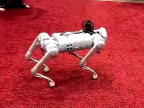 A robotic dog is coming to Staunton High School for technology classes next year through a VDOE grant.