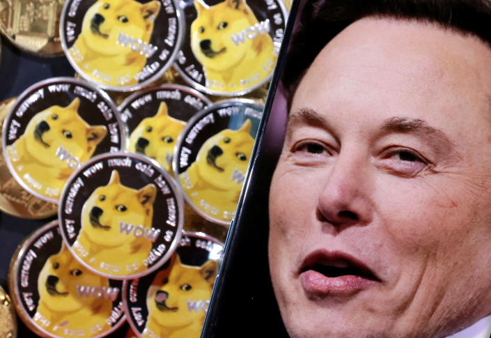 Elon Musk Dogecoin