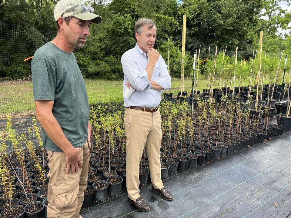 Dulany Industries Chairman and CEO Reed Dulany III, right, and Savannah Tree Foundation nursery manager Matt White look at seedlings.