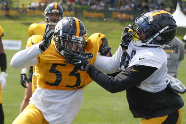 Pittsburgh Steelers linebacker Devin Bush takes part in drills during  practice at their NFL football training camp facility in Latrobe, Pa.,  Wednesday, July 27, 2022. (AP Photo/Keith Srakocic Stock Photo - Alamy