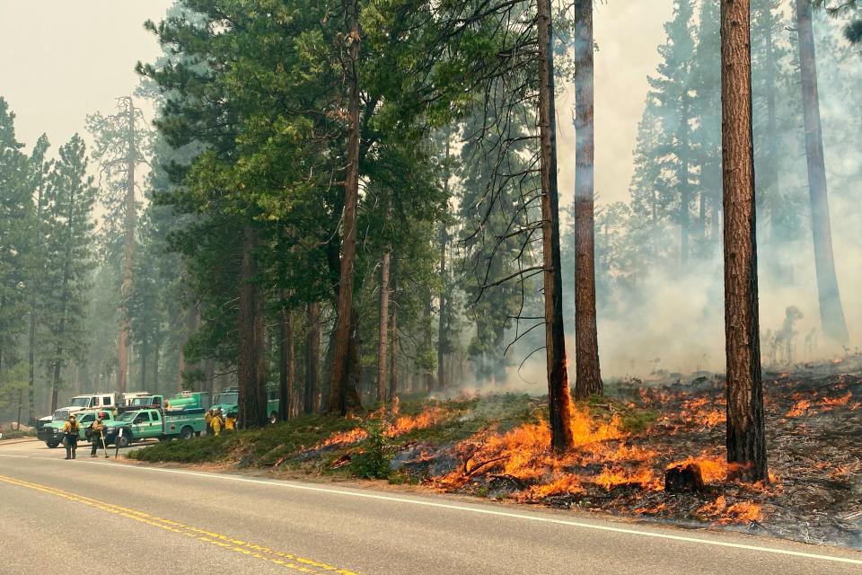 The Washburn Fire burns next to a roadway north of the Wawona Hotel in Yosemite National Park, Calif., Monday, July 11, 2022. A heat wave was developing in California on Monday but winds were light as firefighters battled a wildfire that poses a threat to a grove of giant sequoias and a small community in Yosemite National Park.