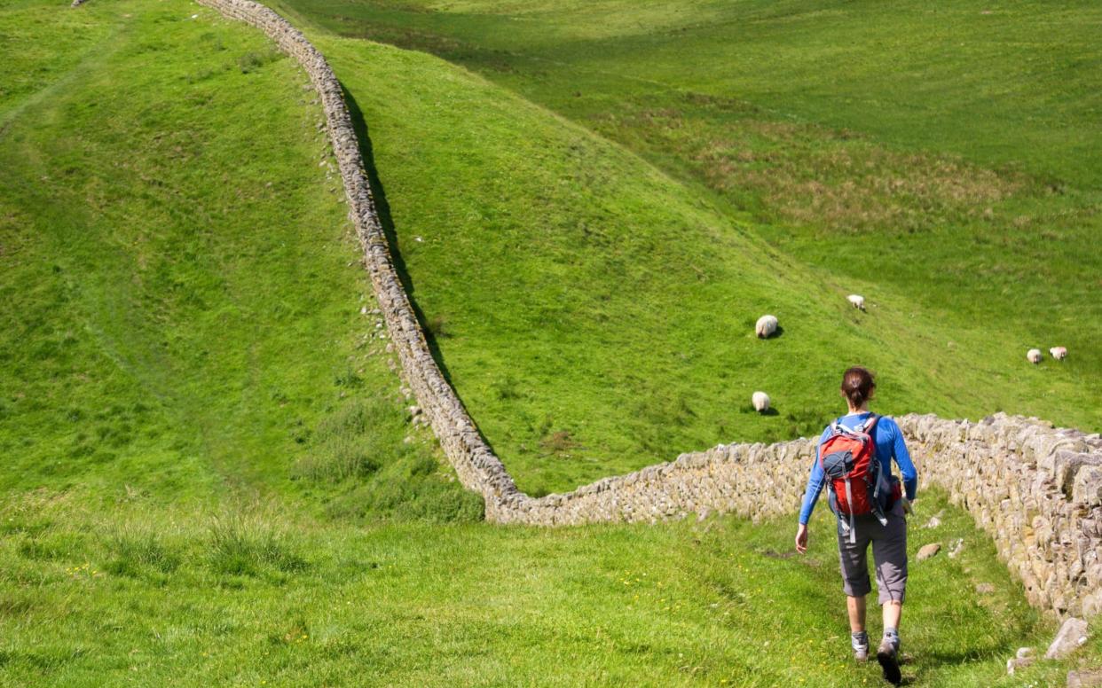 More than 50 holes dug by people undertaking illegal metal detecting have been found at the site - Corbis Documentary