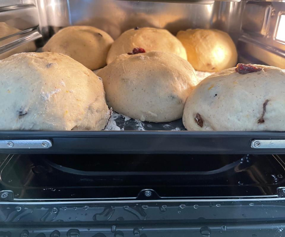 Fruit buns rising in the Ninja Combi Multicooker