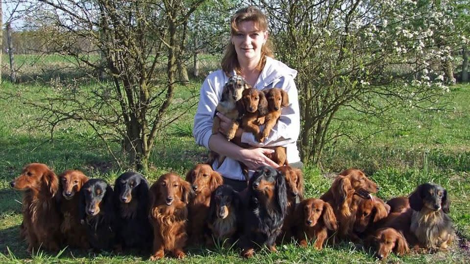 Germany's proposed reform is "outrageous," according to Kerstin Schwartz, a dachshund breeder and owner of 27 dogs from Brandenburg near Berlin. - Courtesy Kerstin Schwartz