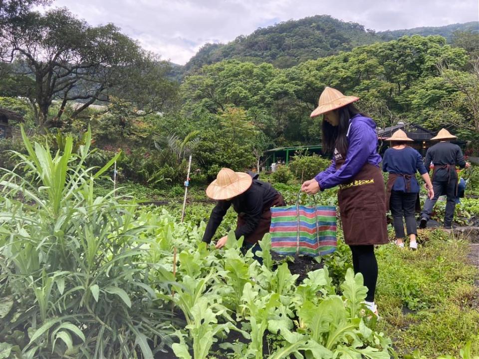 ▲2021端午連假玩法推薦-頭城農場農村廚房體驗。 （圖／Tripbaa趣吧！自由行專家）