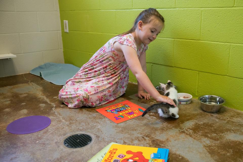 Parker Griffin plays with one of the kittens at Acadiana Animal Aid during the monthly Kitty Litter-ature program, in which children and parents come to read with the cats, Saturday, June 25, 2022.