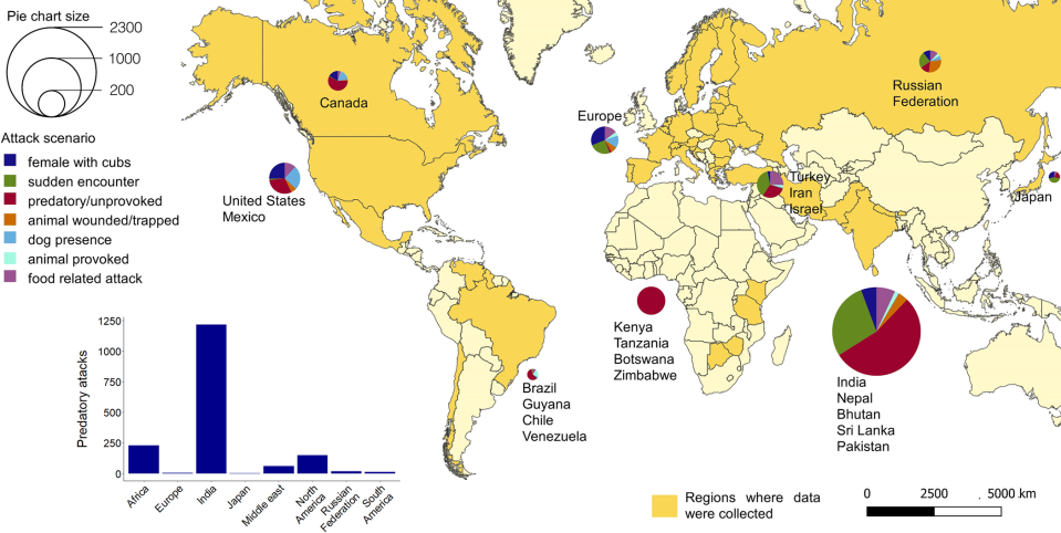 Global spatial distribution (1950–2019) of the main large carnivore attack scenarios.