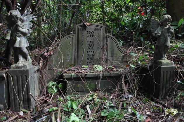 The fruits of bush-bashing – a tomb with fusion features.