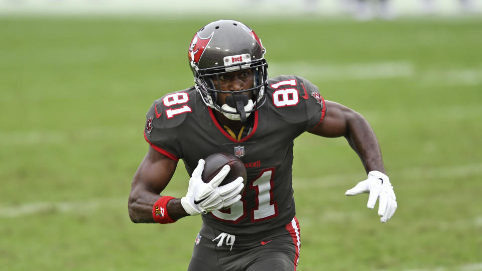 Tampa Bay Buccaneers wide receiver Antonio Brown (81) runs with the ball after a reception during the second half of an NFL football game against the Atlanta Falcons Sunday, Jan. 3, 2021, in Tampa, Fla. (AP Photo/Jason Behnken)