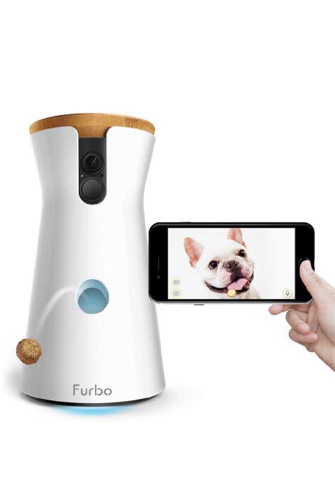 Furbo Dog Camera