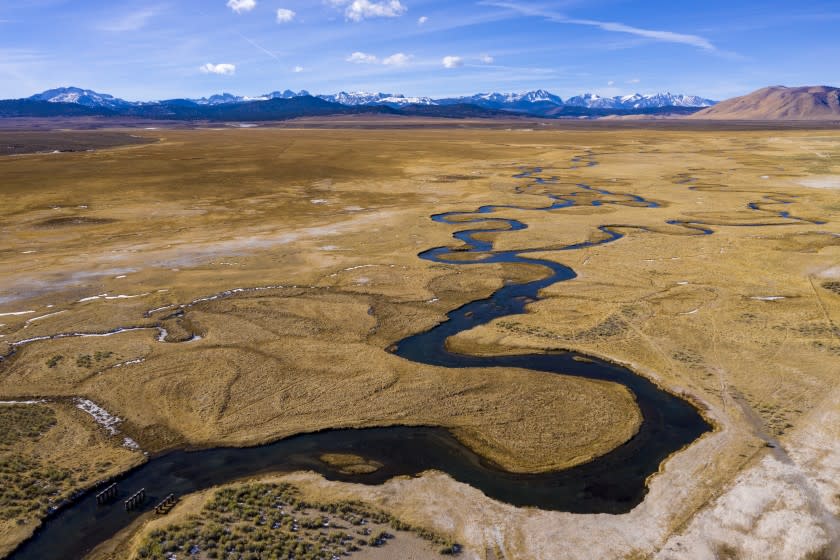 MAMMOTH LAKES, CA - JANUARY 13: The Owens River flows through wetlands and pastures near Benton Crossing on Wednesday, Jan. 13, 2021 in Mammoth Lakes, CA. For seven decades, LADWP has provided free allotments of water for irrigation purposes in the area and now they want to send the water south to Los Angeles instead. (Brian van der Brug / Los Angeles Times)