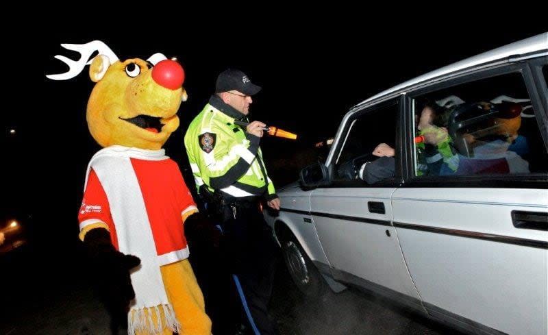 Rudy, Operation Red Nose's reindeer mascot, stands by as a police officer speaks to a volunteer Operation Red Nose driver.