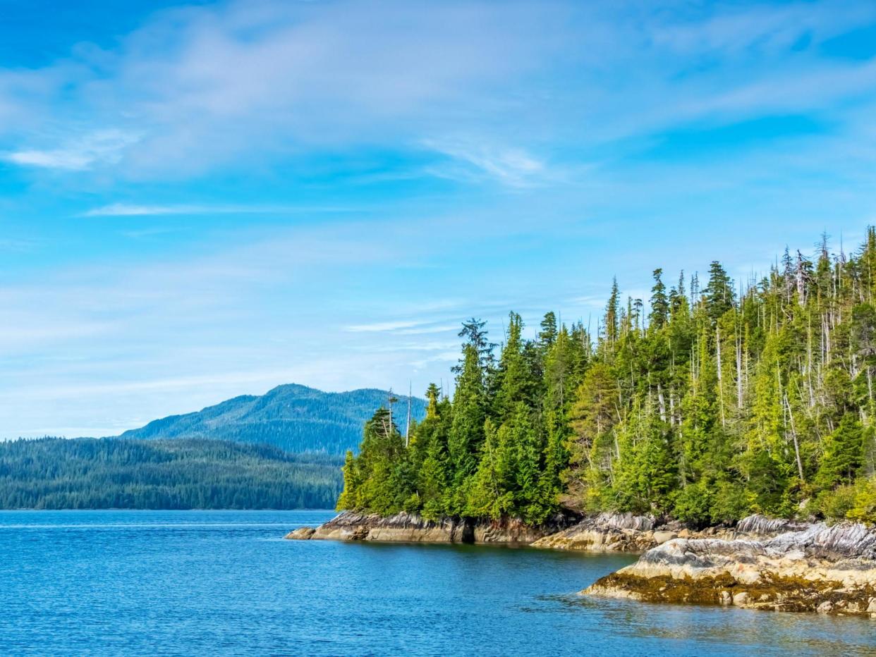 El bosque nacional de Tongass en Alaska está siendo amenazado con la tala y la minería dañinas mientras Trump intenta revertir las regulaciones (Getty Images/iStockphoto)