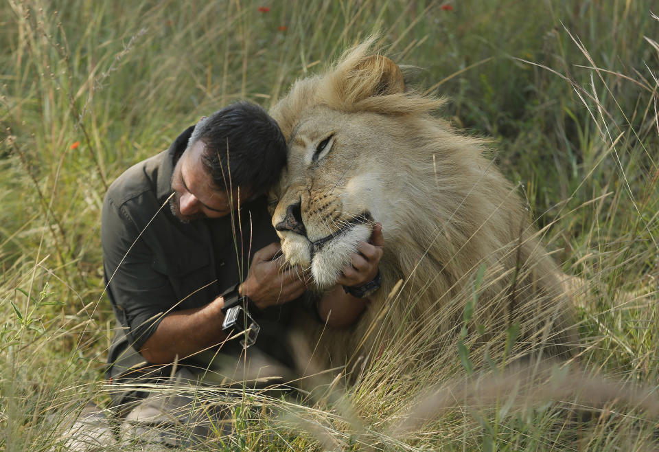 2017 Year in Pictures: Animals