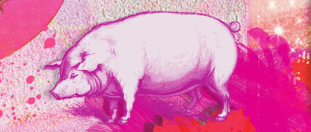 Montage of the Chinese year of the Pig