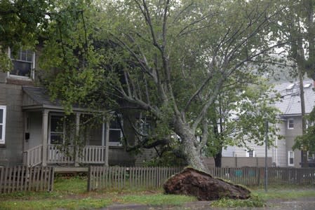 A tree rests against a house during the arrival of Hurricane Dorian in Halifax, Nova Scotia