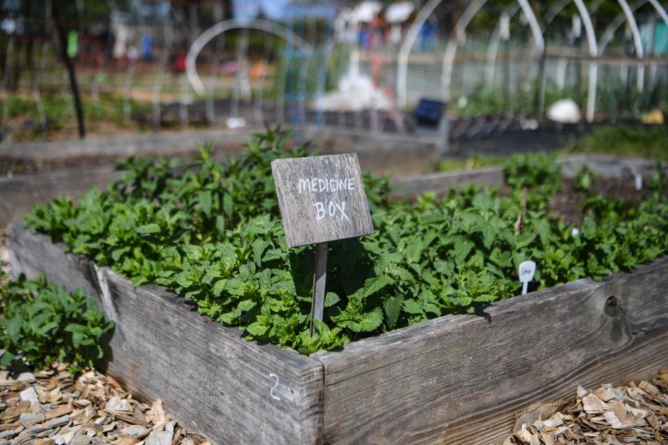 The Southside Community Farm services the historically Black Asheville neighborhood of Southside.